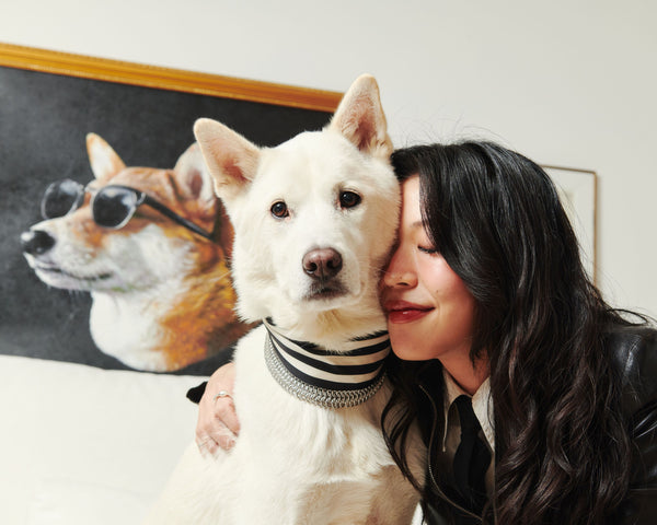 Understanding Your Dog's Skin Barrier: How to Fix Dry, Itchy Skin