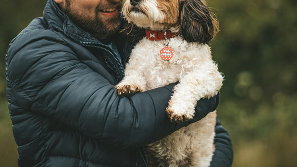 Astaxanthin for Dogs: K-Beauty's Super Antioxidant Hero