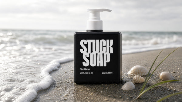 Beach Day Aftercare: Sand, Salt, and the Rinse Most People Cut Short