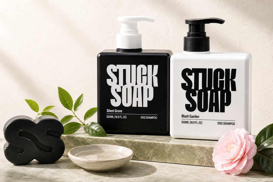 Can I Use Human Shampoo on My Dog? Human, Baby, and Dawn Compared