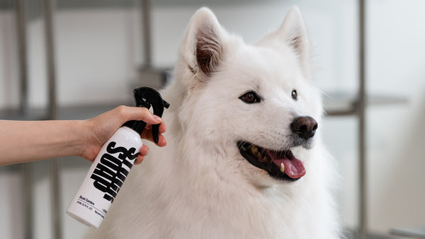Does Deshedding Shampoo Actually Reduce Shedding?