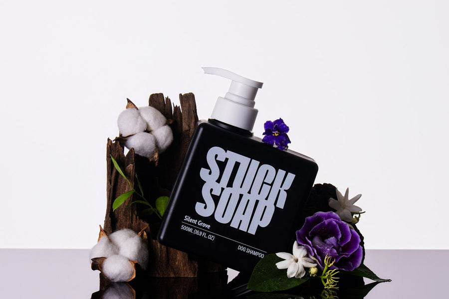 Does Waterless Dog Shampoo Actually Work?