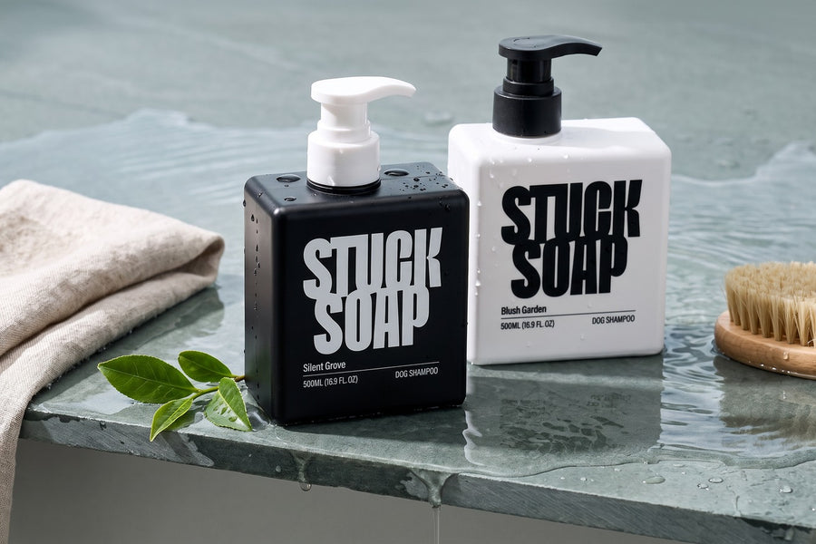 Does Waterless Dog Shampoo Actually Work?