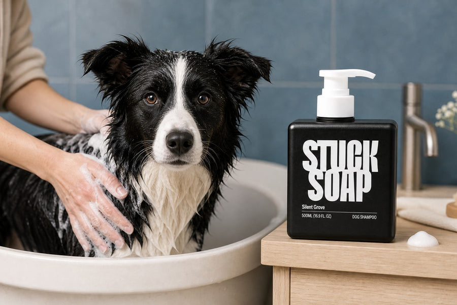 What a Bath Actually Costs: Dog Shampoo Cost Per Bath, Cheap vs Premium