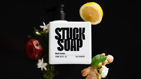 What "Long-Lasting Scent" Actually Means on a Dog Shampoo Bottle