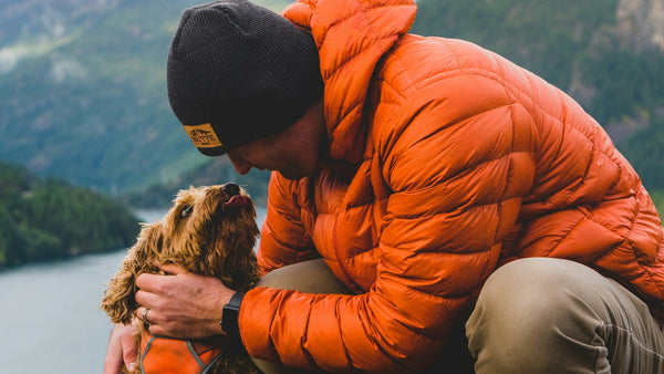 Hemp Seed Oil for Dogs: K-Beauty's Omega-Rich Coat Hero