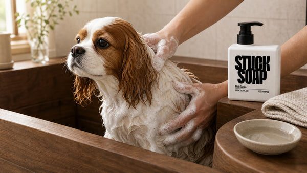 How Long to Leave Shampoo on a Dog (Most People Rinse Too Fast)