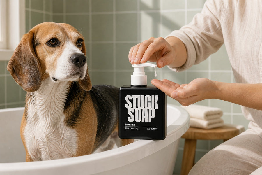 How Much Dog Shampoo to Use: A Dosage Chart by Weight and Coat