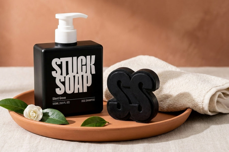 Medicated Dog Shampoo vs Regular Shampoo: Which One You Are Supposed to Be Using