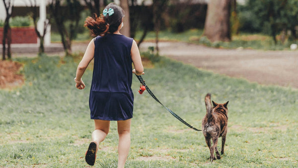 Mulberry for Dogs: Is K-Beauty's Brightening Berry Safe?