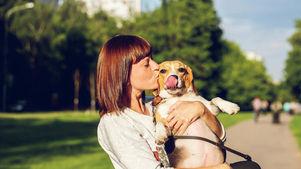 Ceramides for Dogs: K-Beauty's Skin Barrier Hero Explained