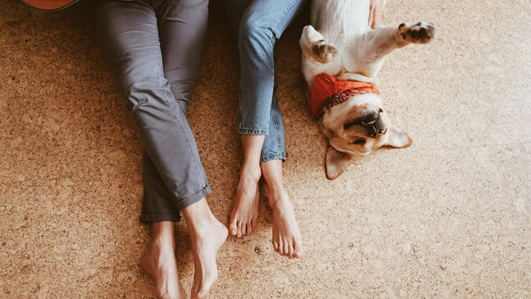 Squalane for Dogs: K-Beauty's Lightweight Moisture Hero Explained