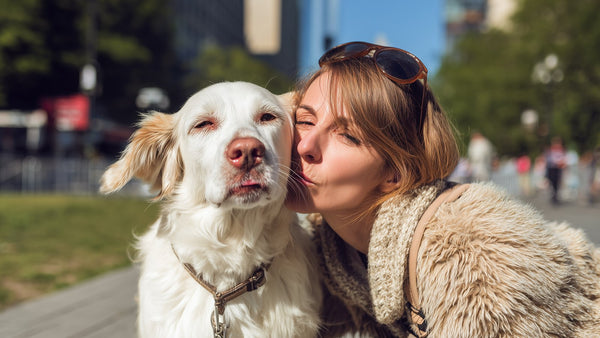 Vitamin C for Dogs: K-Beauty's Brightening Antioxidant Hero