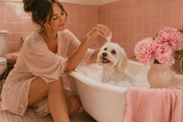 Shampoo Bar vs Liquid Dog Shampoo: Which Is Right for Your Dog?