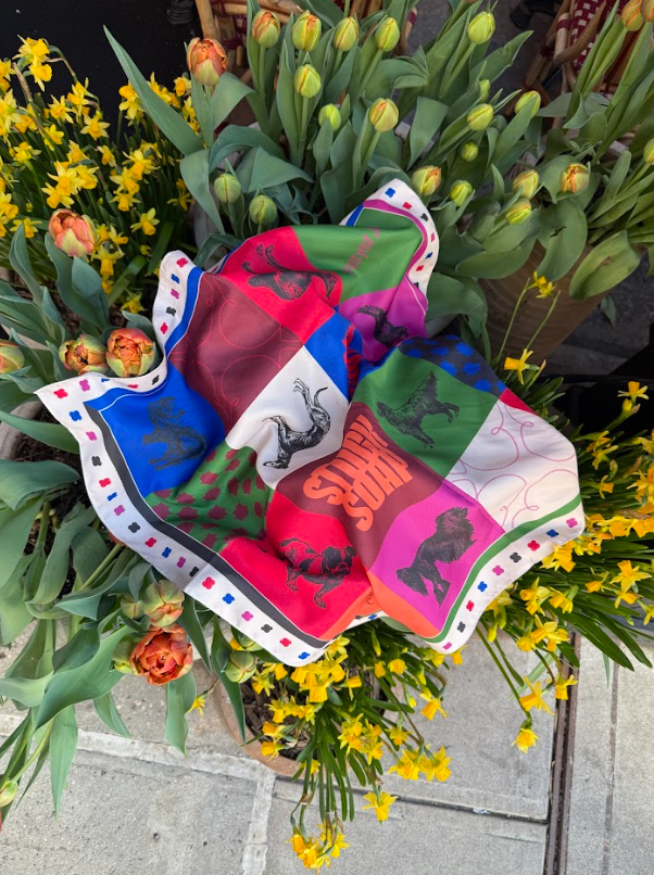 Plastic-Free Dog Grooming: A Simple Guide to a Greener Routine