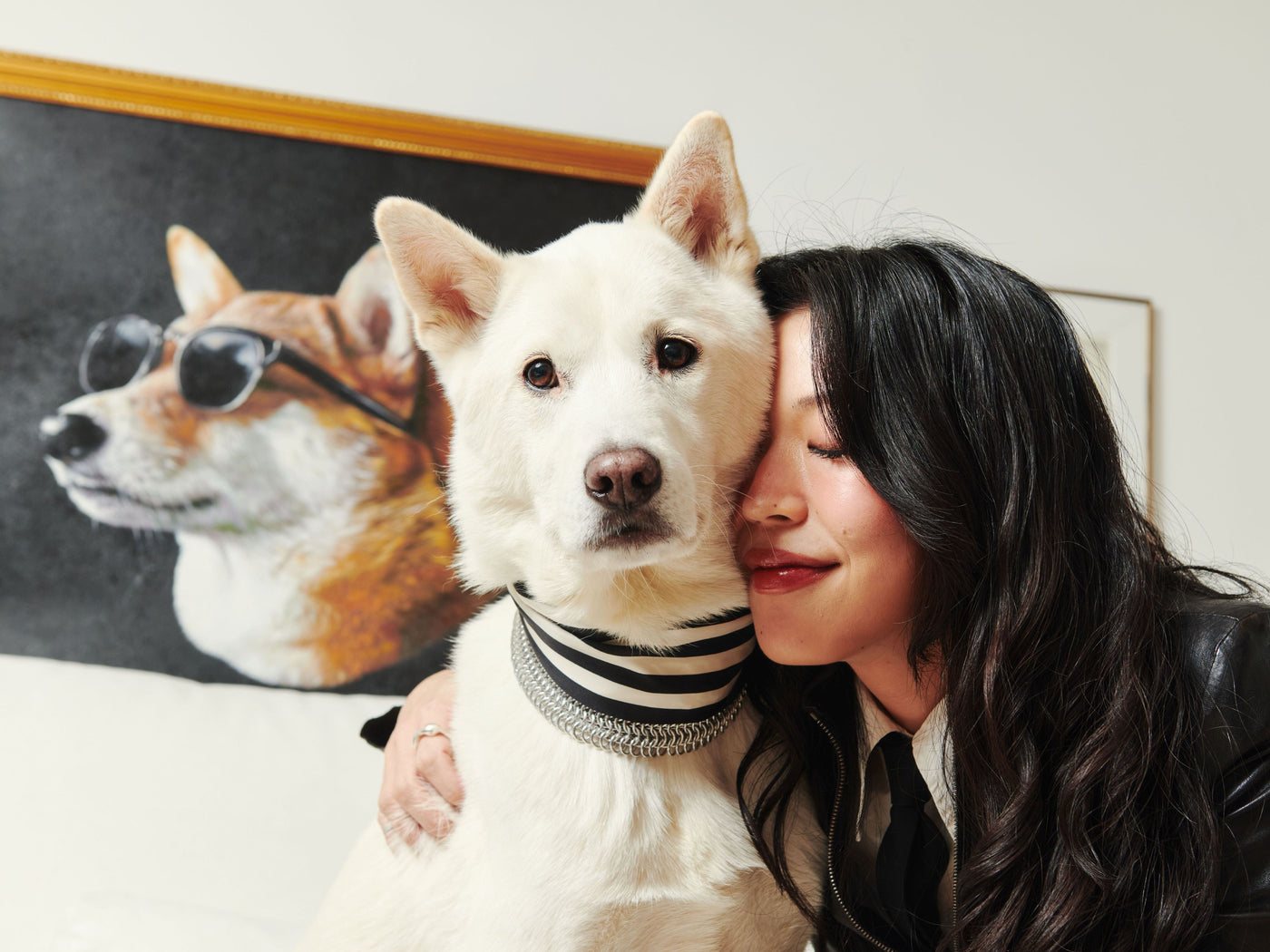 Understanding Your Dog's Skin Barrier: How to Fix Dry, Itchy Skin