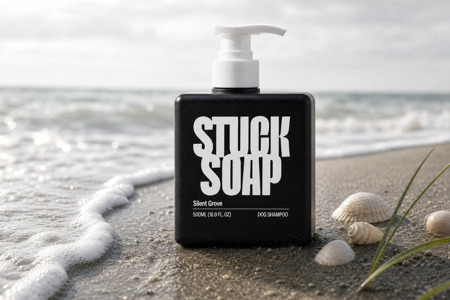 Beach Day Aftercare: Sand, Salt, and the Rinse Most People Cut Short
