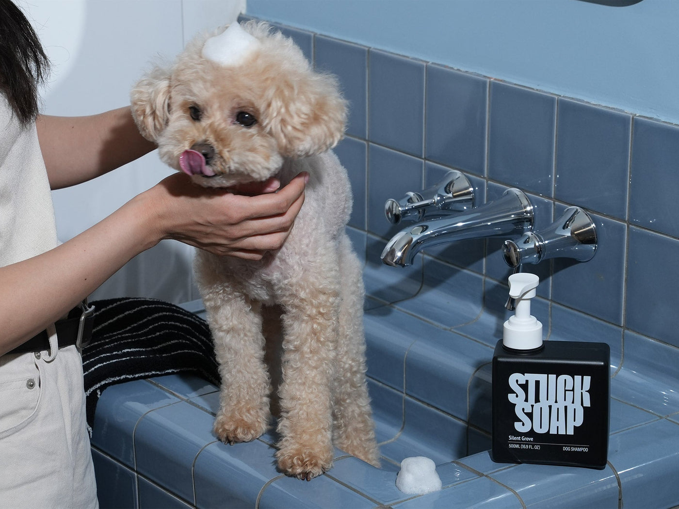The Skinification of Pet Care: Why K-Beauty for Dogs Is Transforming Grooming