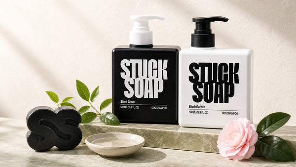 Can I Use Human Shampoo on My Dog? Human, Baby, and Dawn Compared