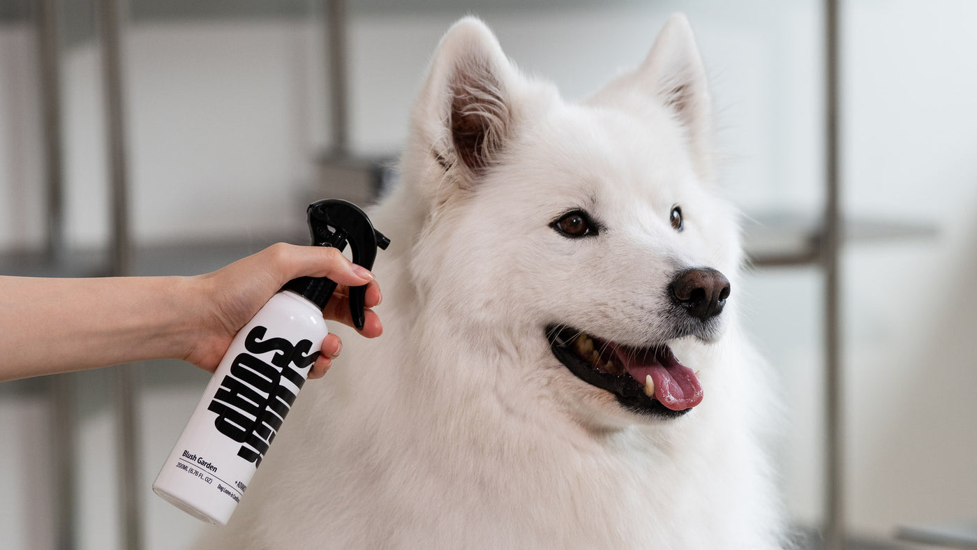 Does Deshedding Shampoo Actually Reduce Shedding?