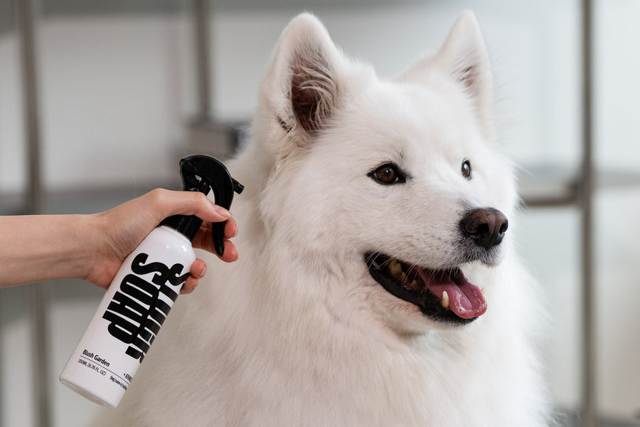 Does Deshedding Shampoo Actually Reduce Shedding?
