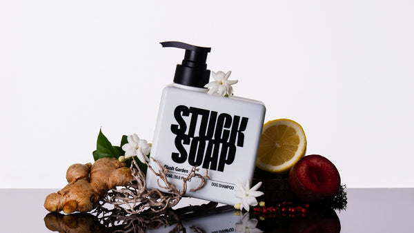 Does More Lather Mean a Cleaner Dog? And Does Dog Shampoo Need to Lather?