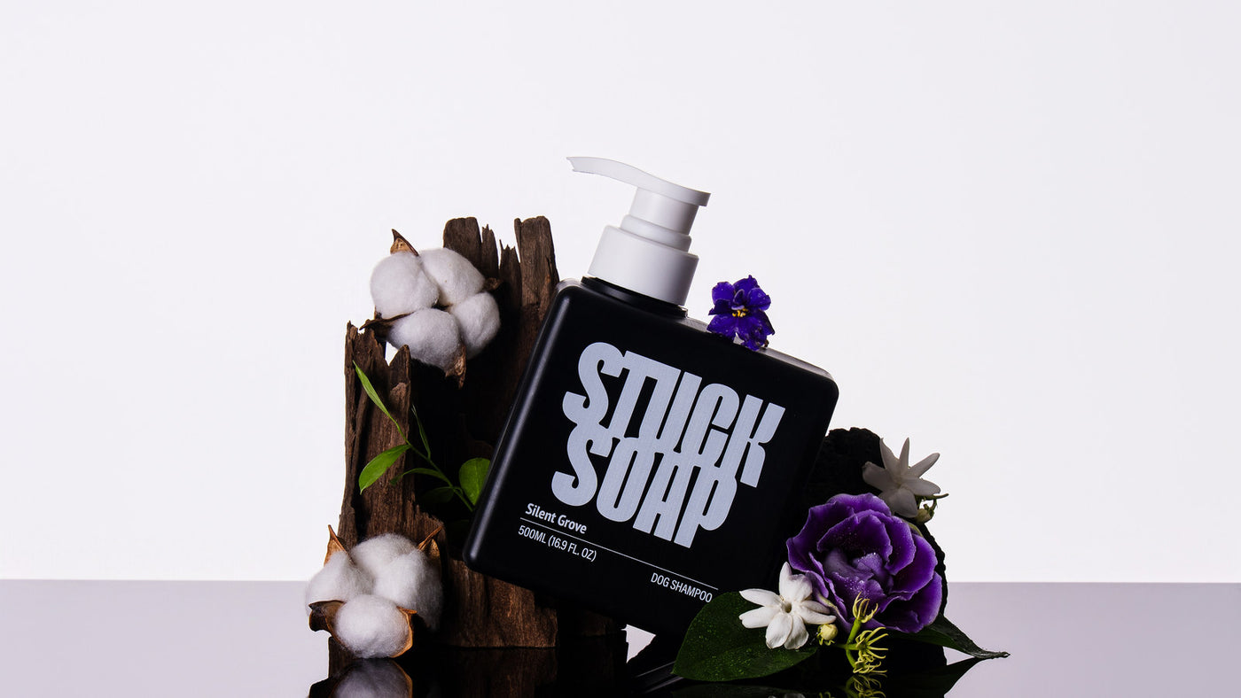 Does Waterless Dog Shampoo Actually Work?