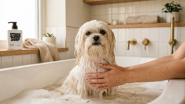 9 Common Dog Bathing Mistakes (and How to Fix Them)