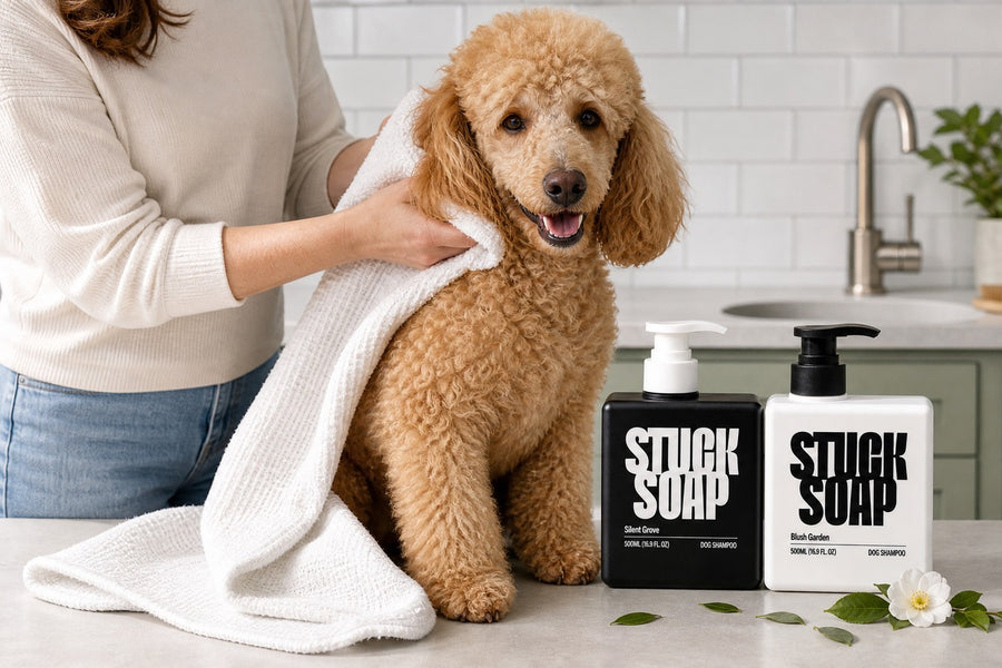 What "Long-Lasting Scent" Actually Means on a Dog Shampoo Bottle