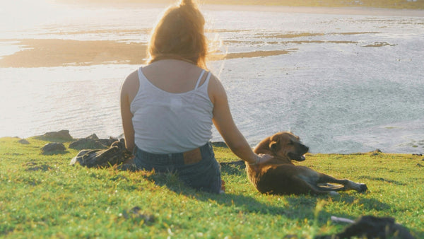 Galactomyces for Dogs: Inside K-Beauty's Fermented Essence