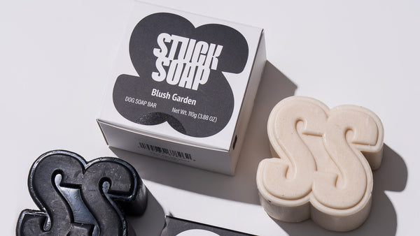 How to Use a Dog Shampoo Bar: Lather, Storage, and How Long One Lasts