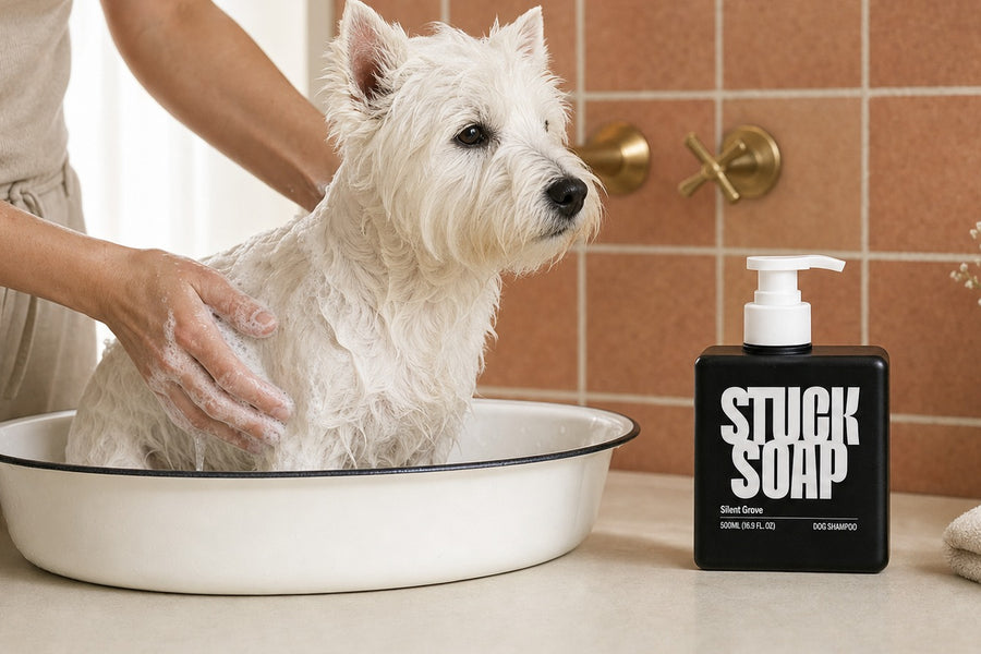 Hypoallergenic, Fragrance-Free, Unscented: What Each Label Legally Means