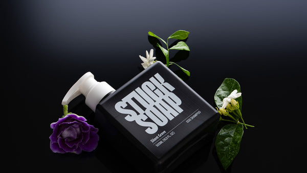 Medicated Dog Shampoo vs Regular Shampoo: Which One You Are Supposed to Be Using