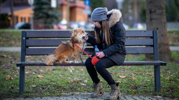 Niacinamide for Dogs' Skin: Can This K-Beauty Hero Help Your Pup?