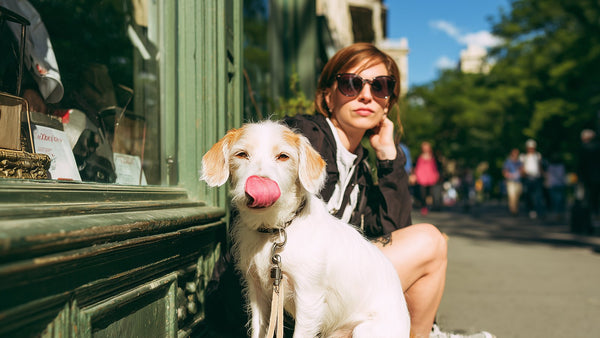 Licorice Root for Dogs: K-Beauty's Skin-Calming Hero