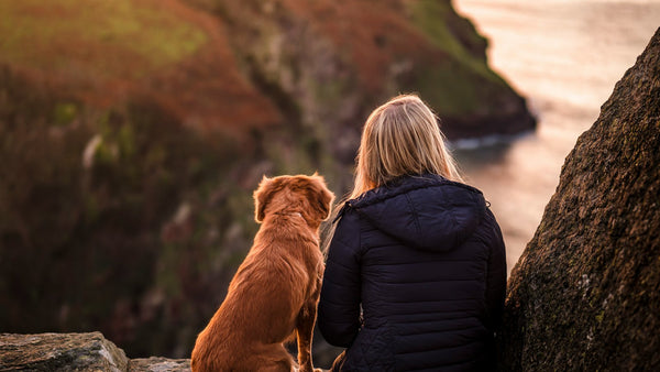 AHA and BHA for Dogs: Why Your Dog Doesn't Need Them