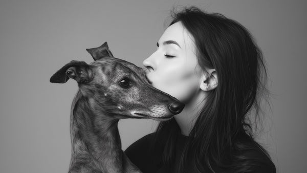Royal Jelly for Dogs: K-Beauty's Nourishing Bee Hero