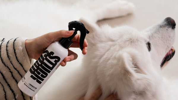 Slugging for Dogs: The K-Beauty Moisture Trend Made Safe