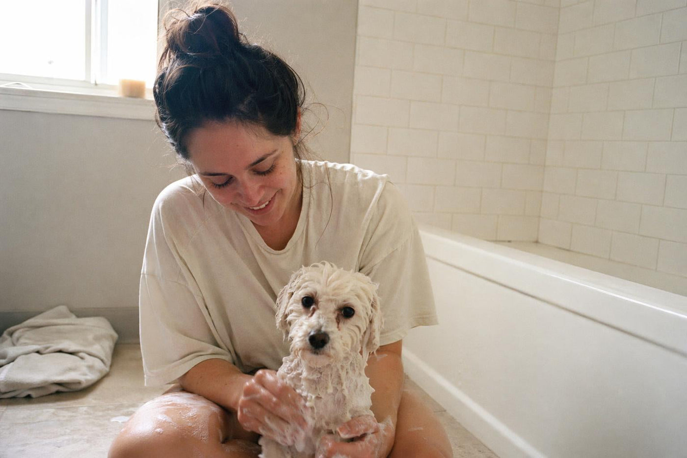 Why Does My Dog Smell Bad After a Bath? Real Causes and Fixes