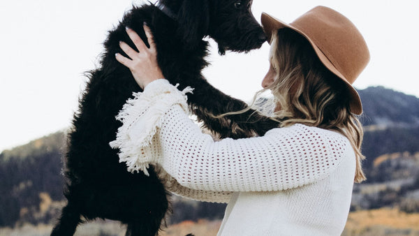 Volcanic Clay for Dogs: K-Beauty's Jeju Purifying Hero