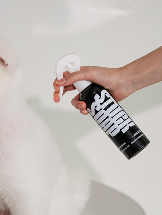 Hand holding a black Silent Grove leave-in spray bottle next to a white long haired dog