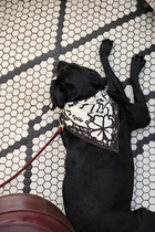 Stuck Soap Signature Scarf - Mono Ink
