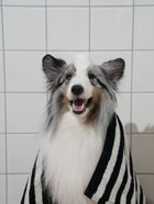 Blush Garden Dog Shampoo - 1000 ml