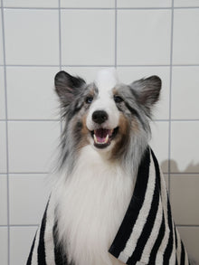 Silent Grove Dog Shampoo - 1000 ml